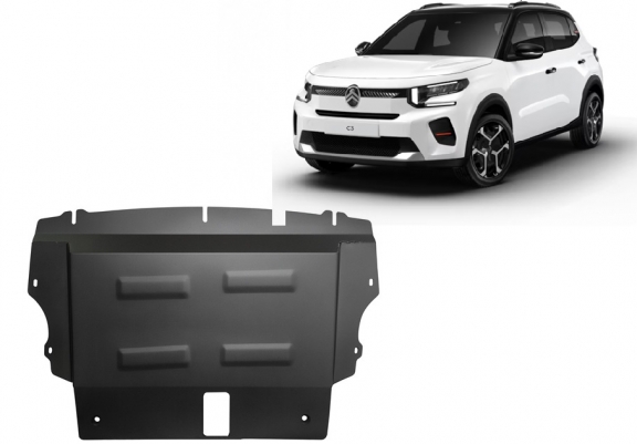 Scut auto Citroen C3